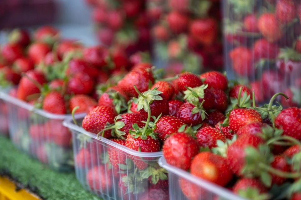 Портящиеся фрукты и ягоды содержат измененную микрофлору, в них идут бродильные реакции