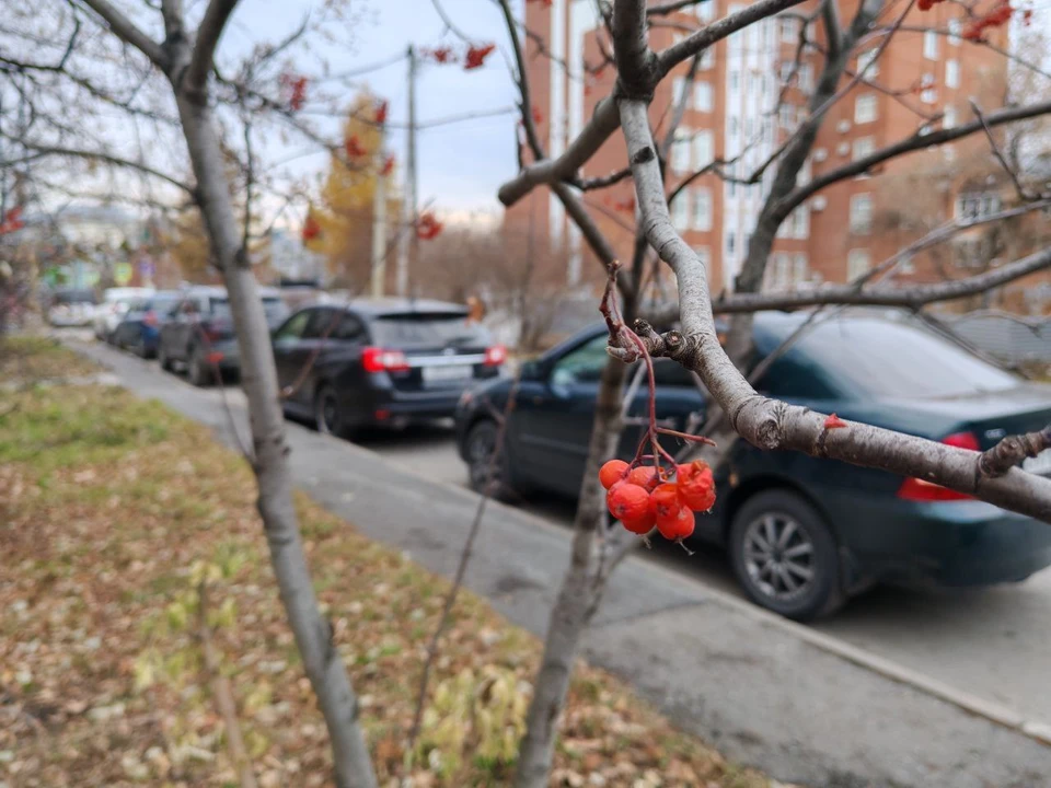 Метеорологи прогнозируют местами снег и дожди. Фото: Елена Белоусова