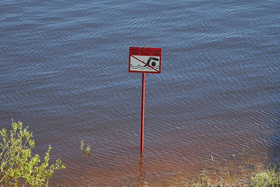 В Новосибирской области в период купального сезона погиб 31 человек.