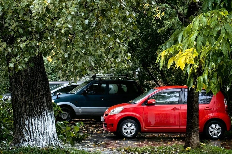 Стоимость технического осмотра транспортных средств продолжит расти