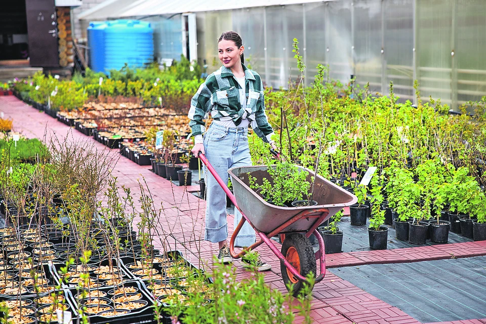 Быть аграрием - почетно!