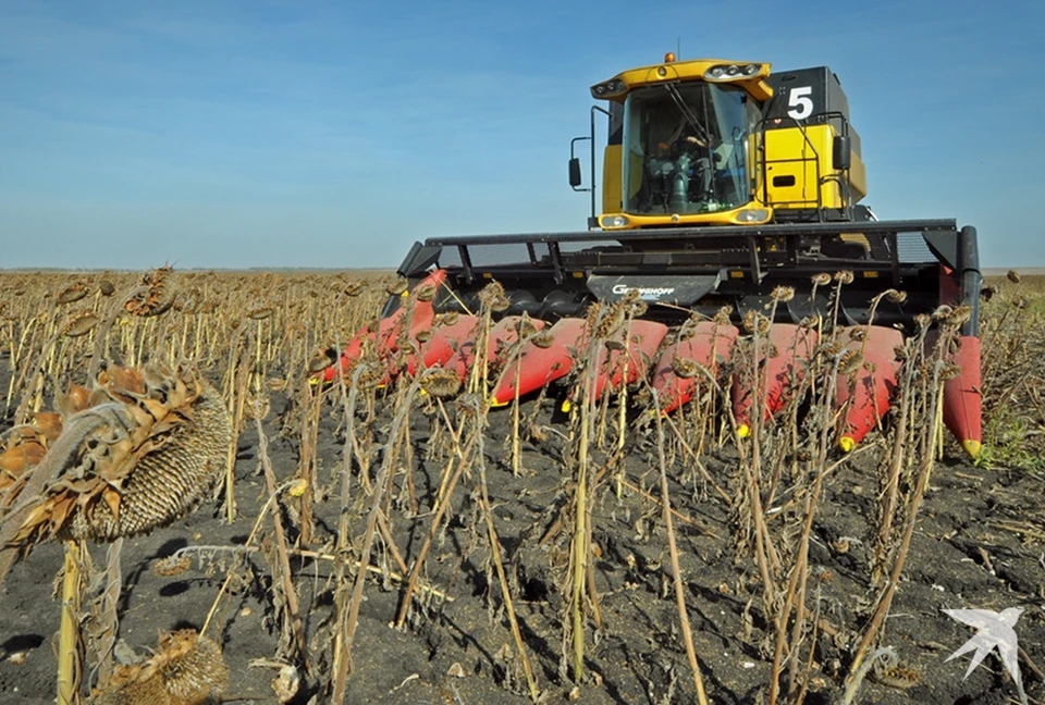 Свердловские аграрии перевыполнили план по сбору подсолнечника
