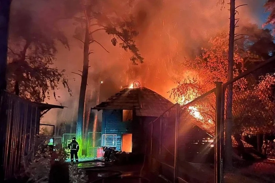 Новосибирцы собрали около 3 млн рублей на восстановление зоопарка после пожара. Фото: пресс-служба прокуратуры Новосибирской области