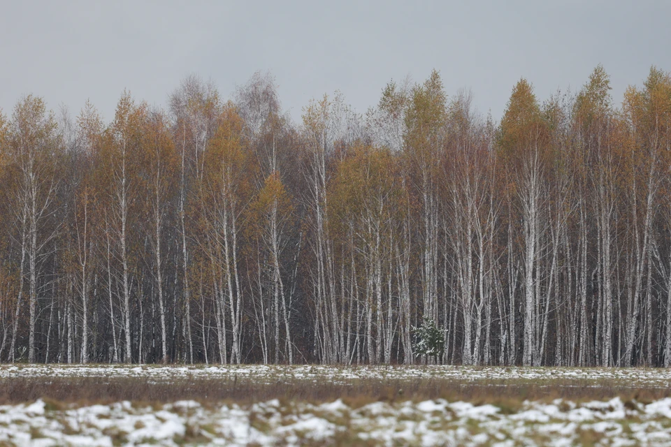 В связи с непогодой объявлено штормовое предупреждение