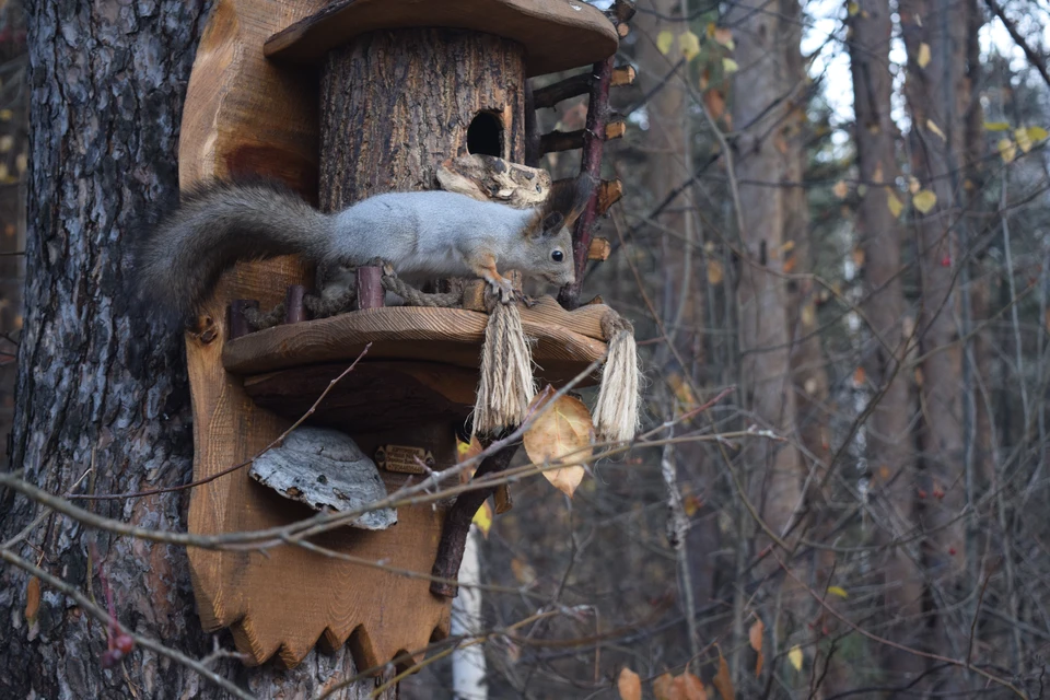 Фото: Анна Горлач