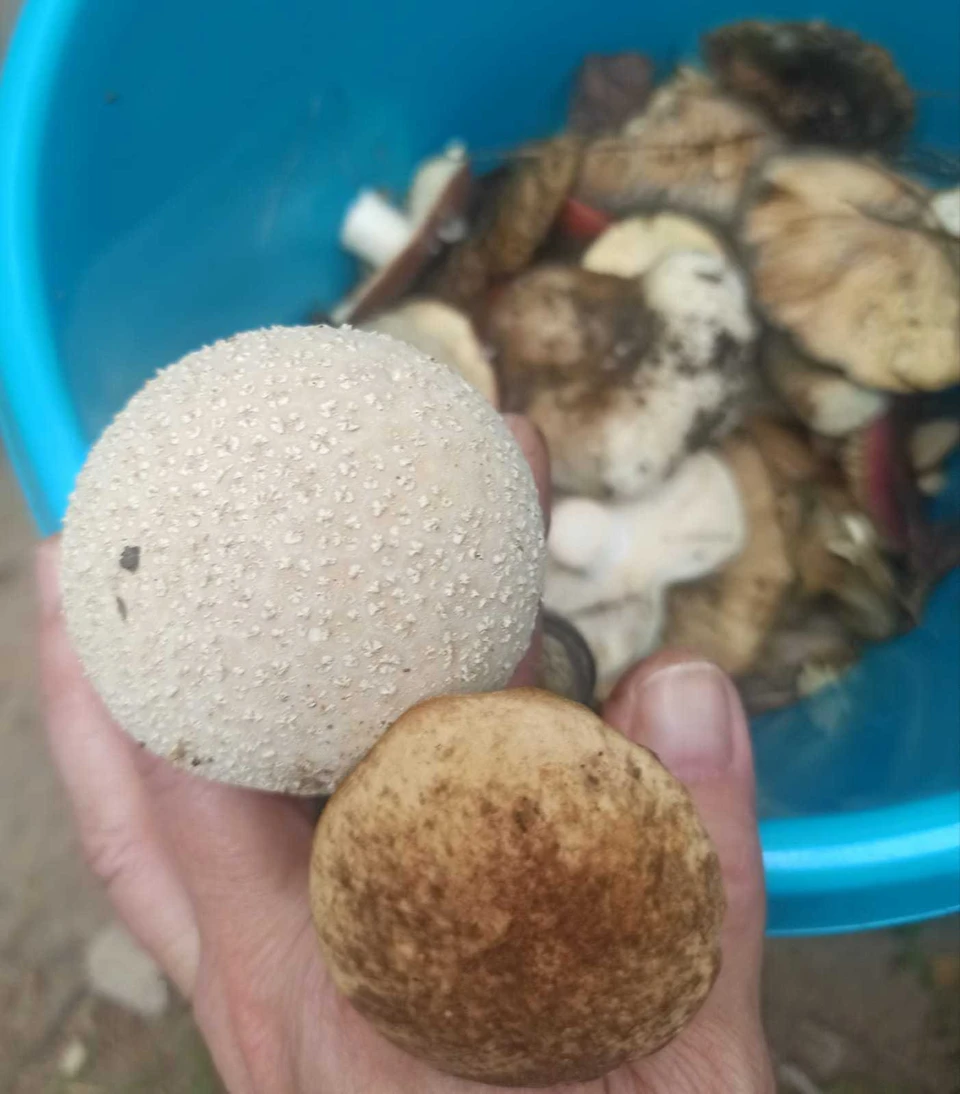 Фото читателей