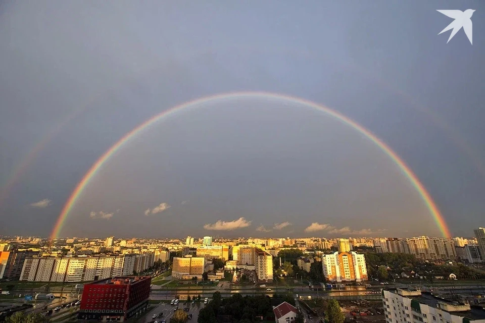 Лукашенко сказал, что ЕС будет платить Беларуси за чистый воздух. Снимок носит иллюстративный характер.