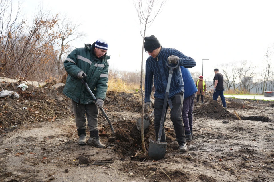 В Ульяновске продолжают озеленение сквера на берегу реки Свияга. Фото администрация Ульяновска