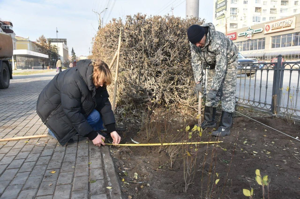 Фото: пресс-служба администрации Омска