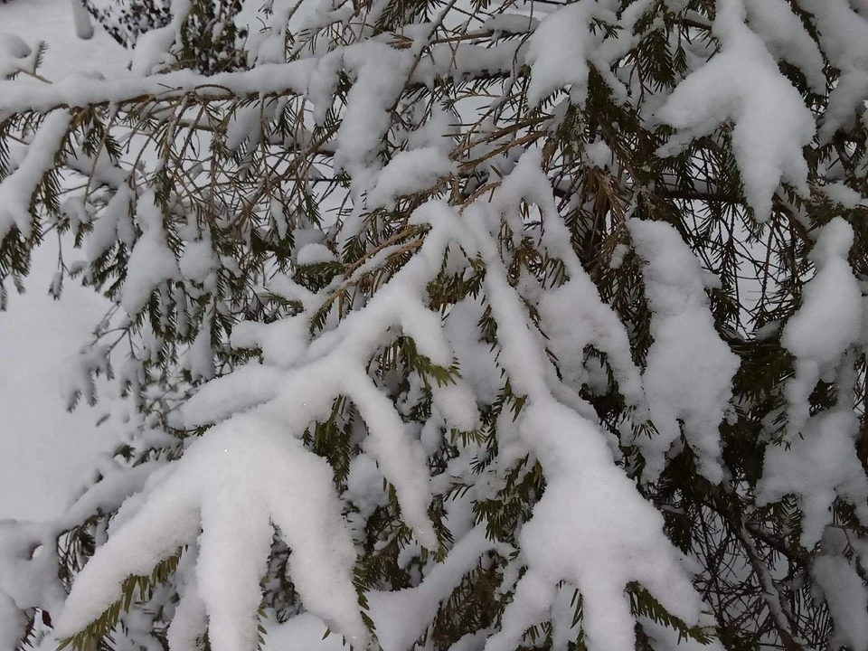 Погода на Ямале на 1 ноября