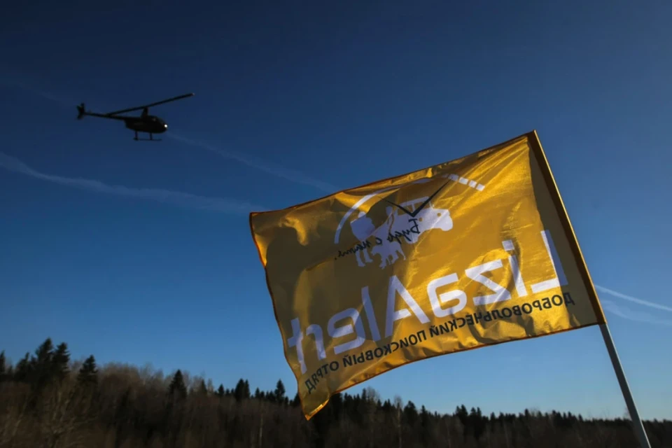 Мальчика нашли живым. Фото: «ЛизаАлерт»/ВК