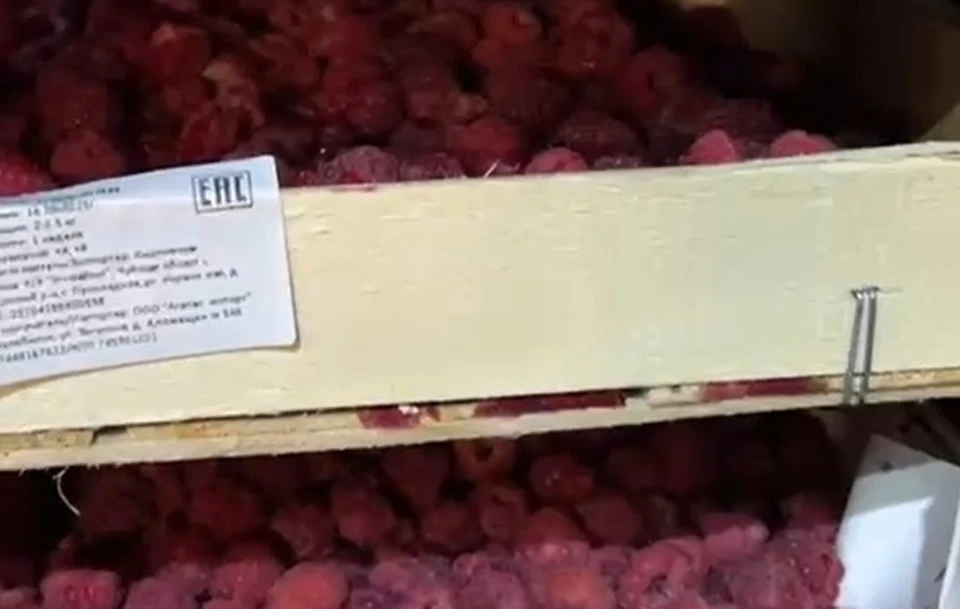 Фото: Россельхознадзор