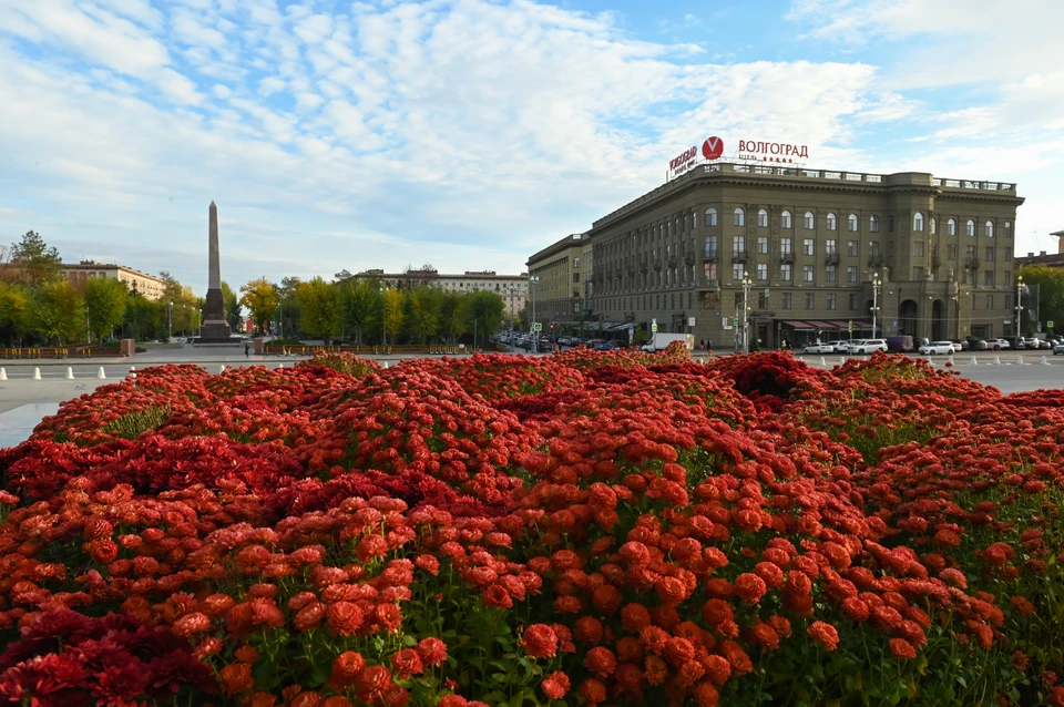 Неужели такая красота может представлять опасность?