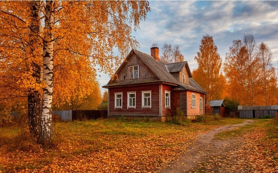 Суд отказал жительнице Гремячево в расширении участка.