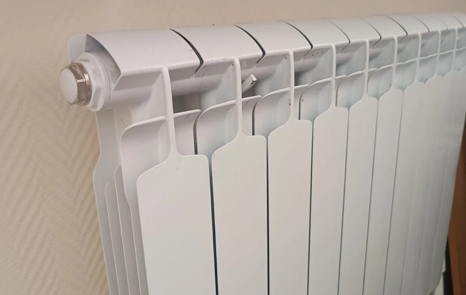 Фото: Елена Зябкина