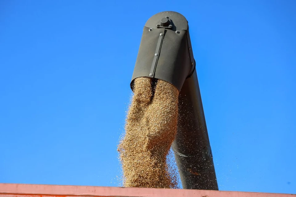 С начала сезона поставки достигли 1,3 млн тонн в 15 стран