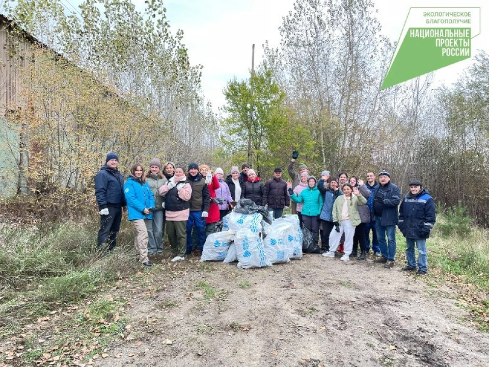 Жители Тюменской области очистили от мусора берега водоемов