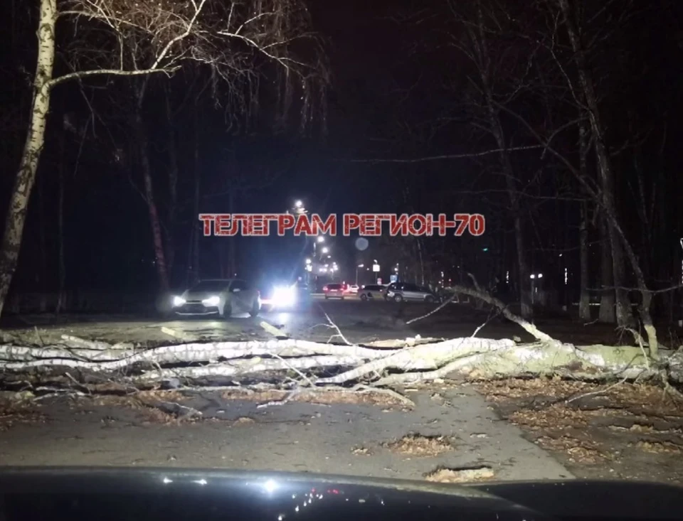 Фото: «Регион 70»