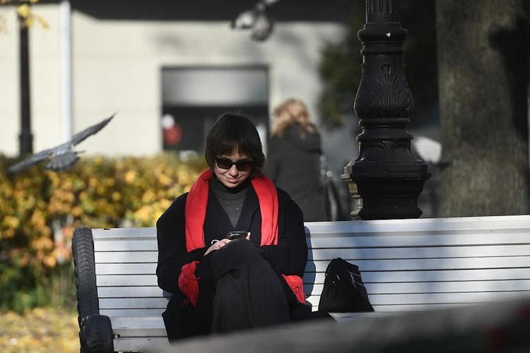 22 идеи, куда сходить на выходных в Санкт-Петербурге 2, 3 и 4 ноября 2025: «Чудо света», шоу Плющенко и Ночь искусств