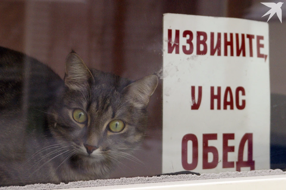 Полностью отказаться от обеденного перерыва нельзя, если рабочая смена длится больше четырех часов.