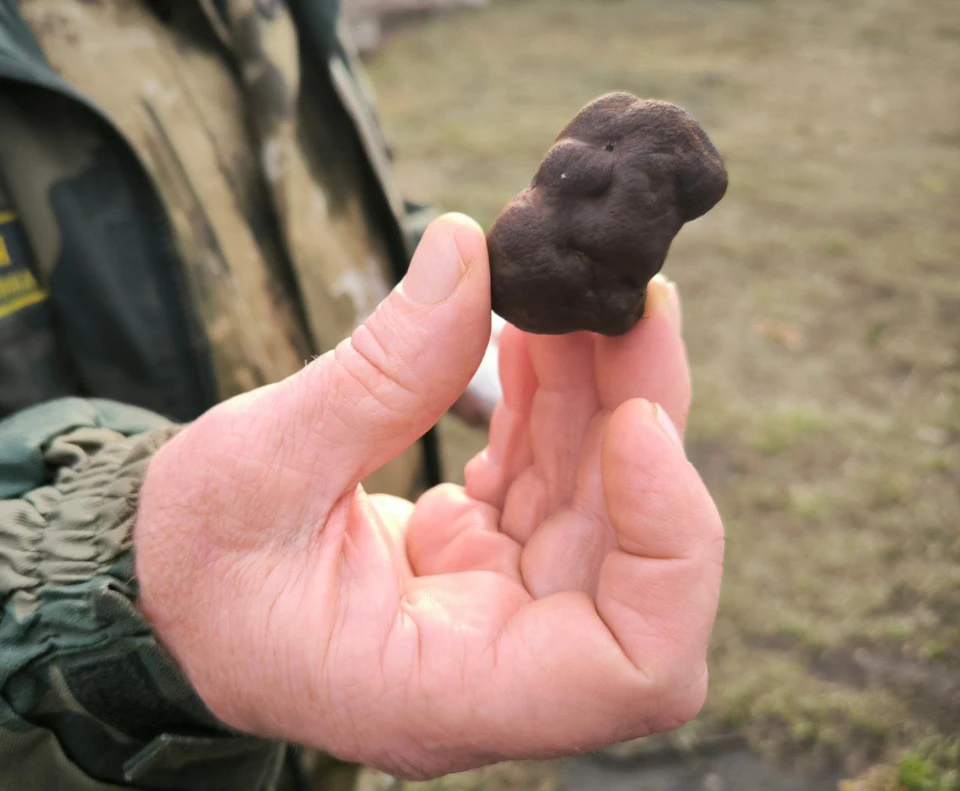 Фото: телеграм-канал Максима Калядина