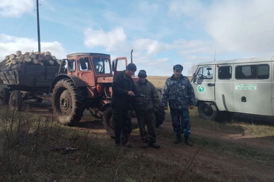 1,1 млн рублей ущерба принесли незаконные рубки в Иркутской области.