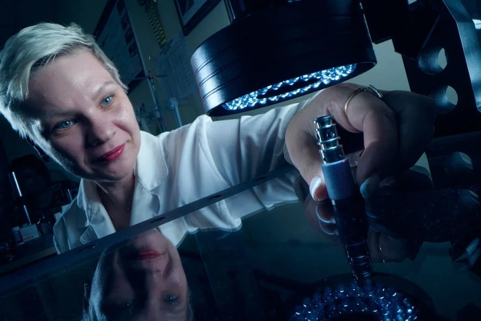 Фото: Департамент инвестиционной и промышленной политики г. Москвы