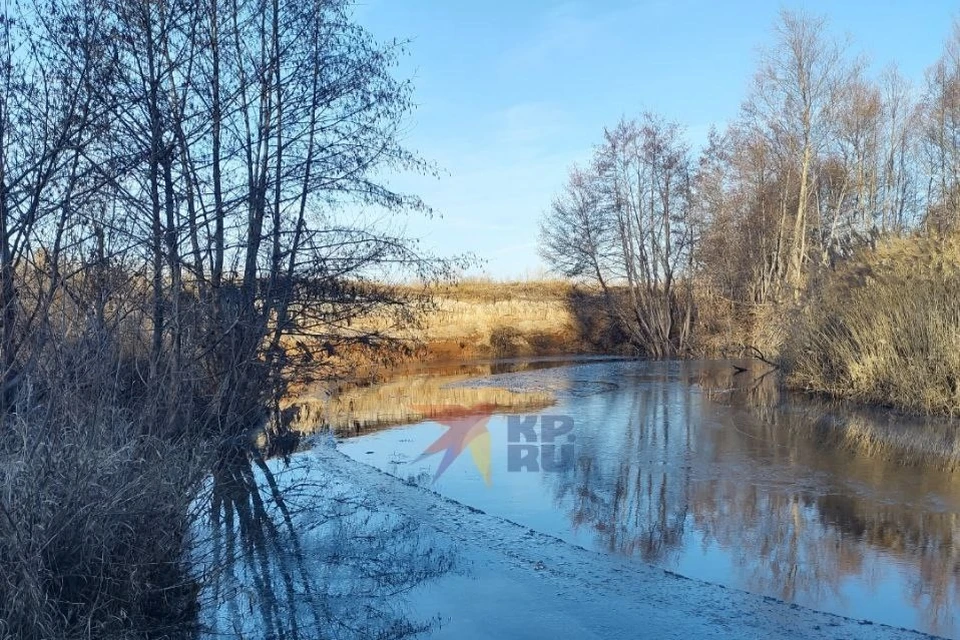Температура воздуха составит 0, +5 градусов. На востоке области прогнозируется похолодание до -1, -3 градусов.