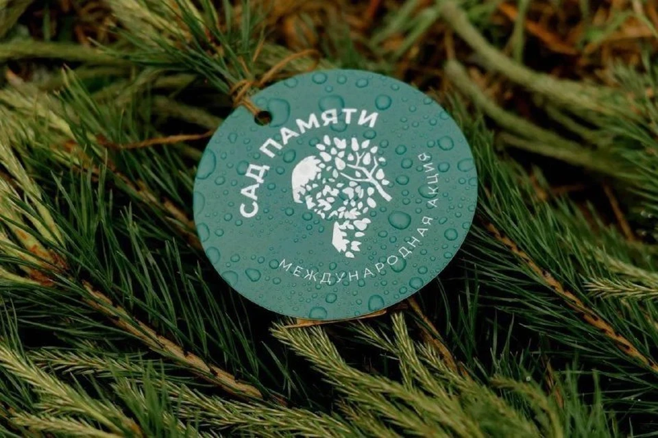 Фото: МинИнформ 64 Z