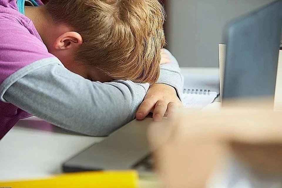 Детские игровые комнаты имеют скрытую опасность: что угрожает здоровью ребенка