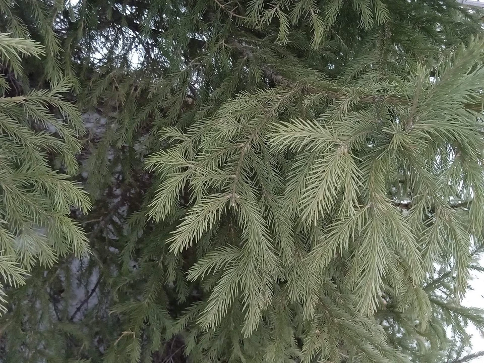 Погода на Ямале на 5 ноября