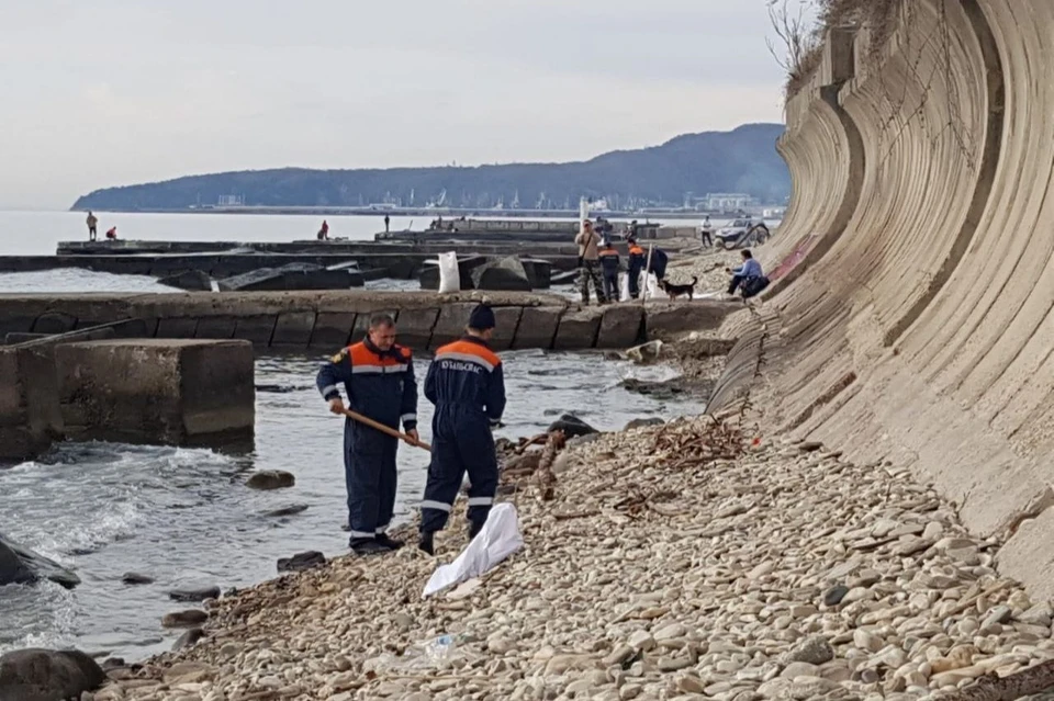 В Черном море в Туапсе не нашли пятен мазута после атаки БПЛА Фото: t.me/glavatuapseregion