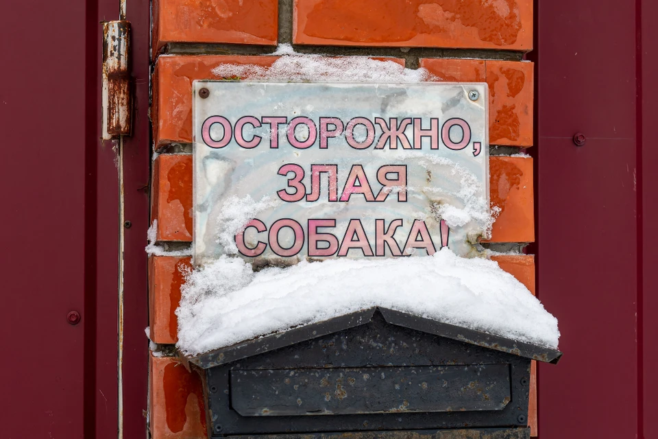 В Иркутском районе агрессивные собаки нападают на животных и пугают людей