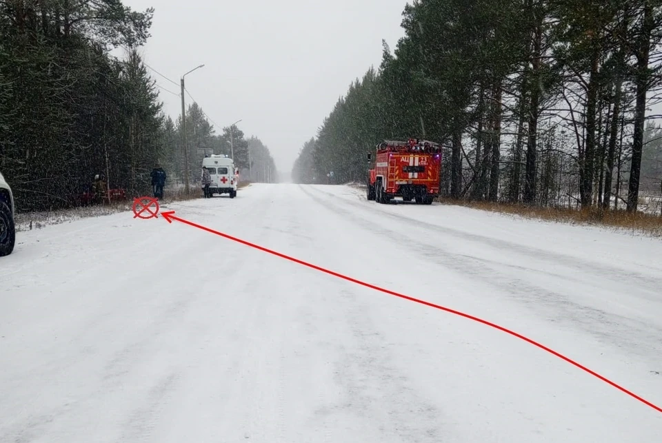 Фото: Госавтоинспекция Коми