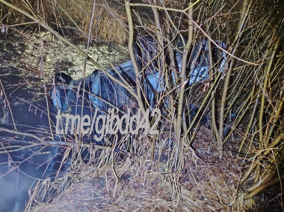 Фото: Госавтоинспекция Кузбасса.