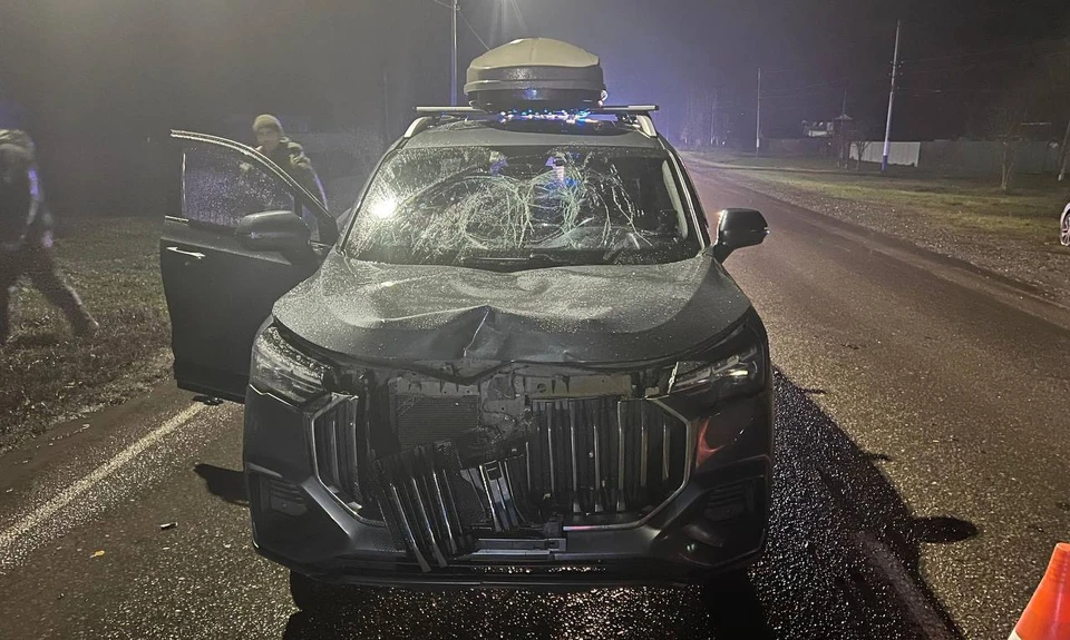 33-летний пешеход погиб в ДТП на трассе Рязань - Ряжск - Александро-Невский.