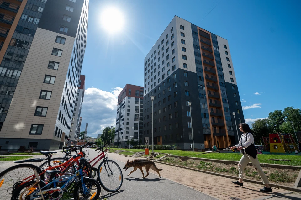 Билайн узнал, какие приложения в топе у петербуржцев в новостройках.