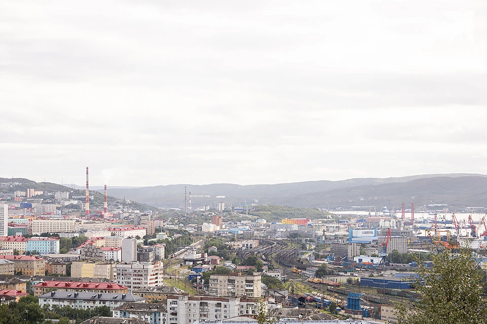 В Мурманской области на 4,3% выросло количество убыточных организаций.