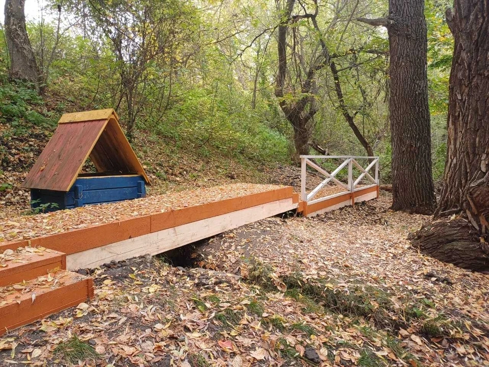 В Ульяновской области в 2025 году привели в порядок 23 родника | ФОТО: минприроды Ульяновской области