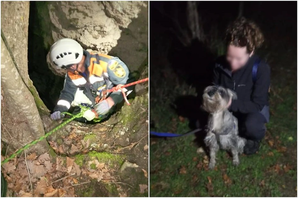 Мини-шнауцера достали из 10-метровой ямы. Фото: пресс-служба министерства ГО и ЧС КК