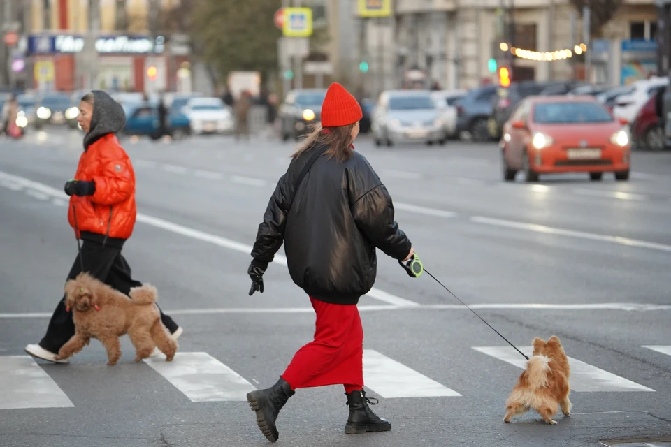 Прогулки перед сном способствуют расслаблению и улучшению качества сна