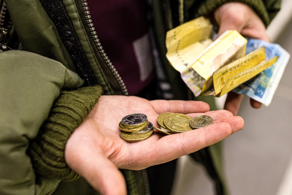 Глава Нацбанка Пышный: Украина в 2025 году хочет заменить копейки на шаги