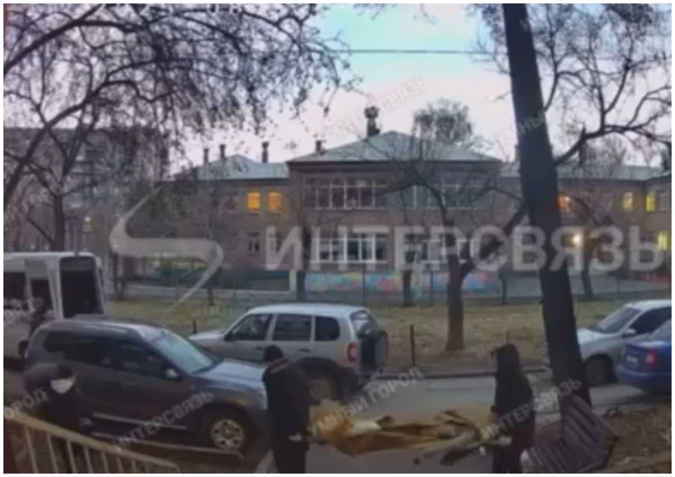 Фото: скриншот видео домофон «Интерсвязь».