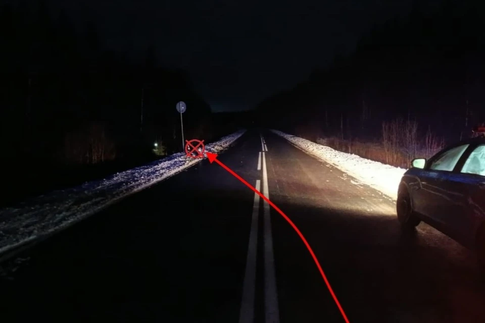 Фото: Госавтоинспекция Коми