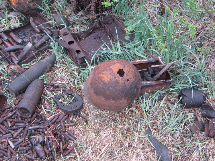 Был сыном полка и ослеп в 15 лет: воронежец Ваня Григоров дошел до Днепра, помогая разведчикам в годы Великой Отечественной войны