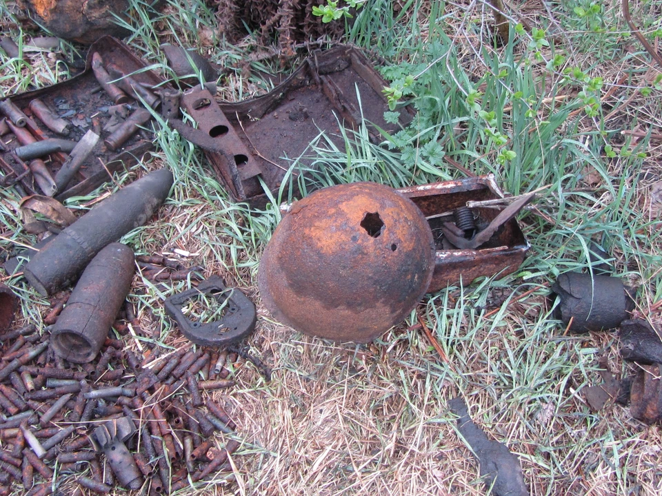 Фото Елены Федяшевой