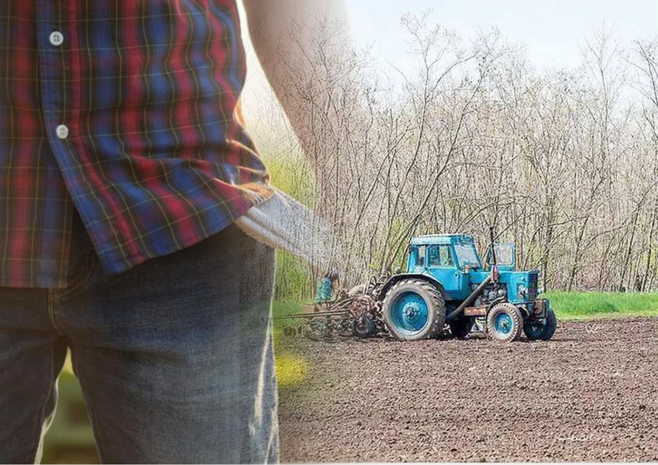 Фермеры Молдовы на грани выживания. Фото: коллаж КП