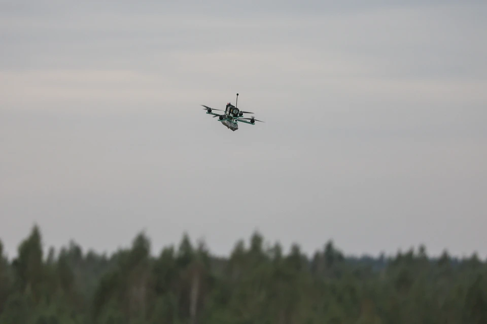 Польша и Румыния развертывают новую систему против беспилотников