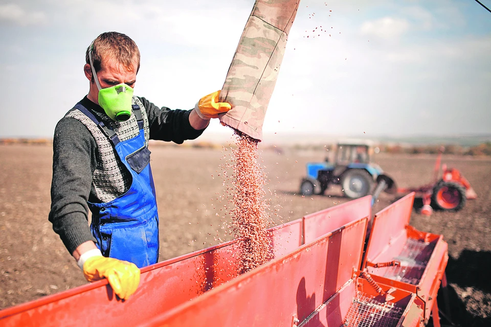 Завершить осенний сев планируют к середине ноября.