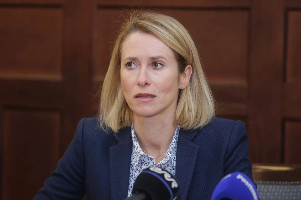 Кая Каллас назвала привилегией возможность посетить Евросоюз